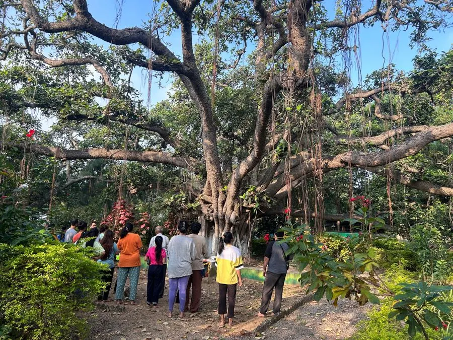 Nature walks